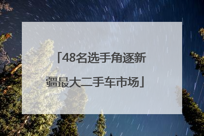 48名选手角逐新疆最大二手车市场