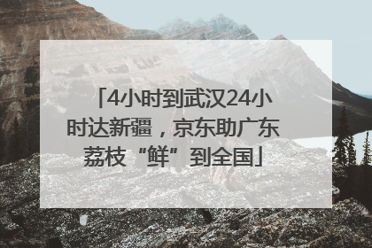 4小时到武汉24小时达新疆，京东助广东荔枝“鲜”到全国