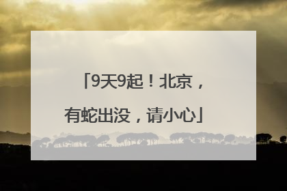 9天9起！北京，有蛇出没，请小心