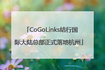 CoGoLinks结行国际大陆总部正式落地杭州