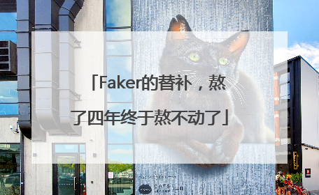 Faker的替补，熬了四年终于熬不动了